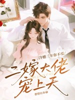 冷婚三年你不爱，二嫁大佬宠上天